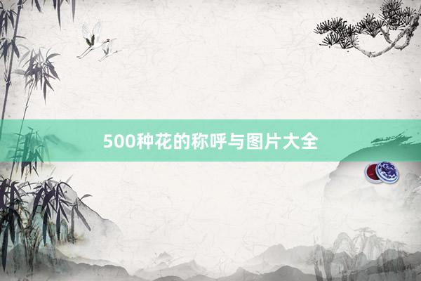 500种花的称呼与图片大全