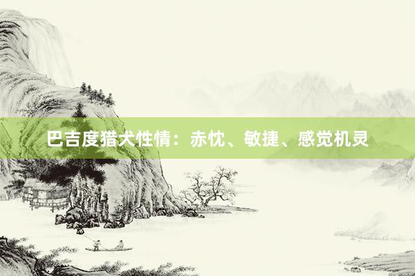 巴吉度猎犬性情：赤忱、敏捷、感觉机灵