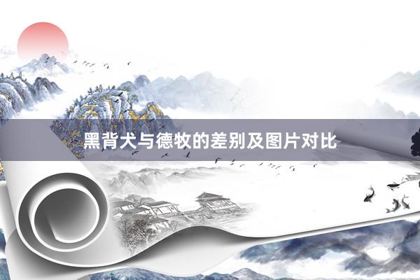 黑背犬与德牧的差别及图片对比